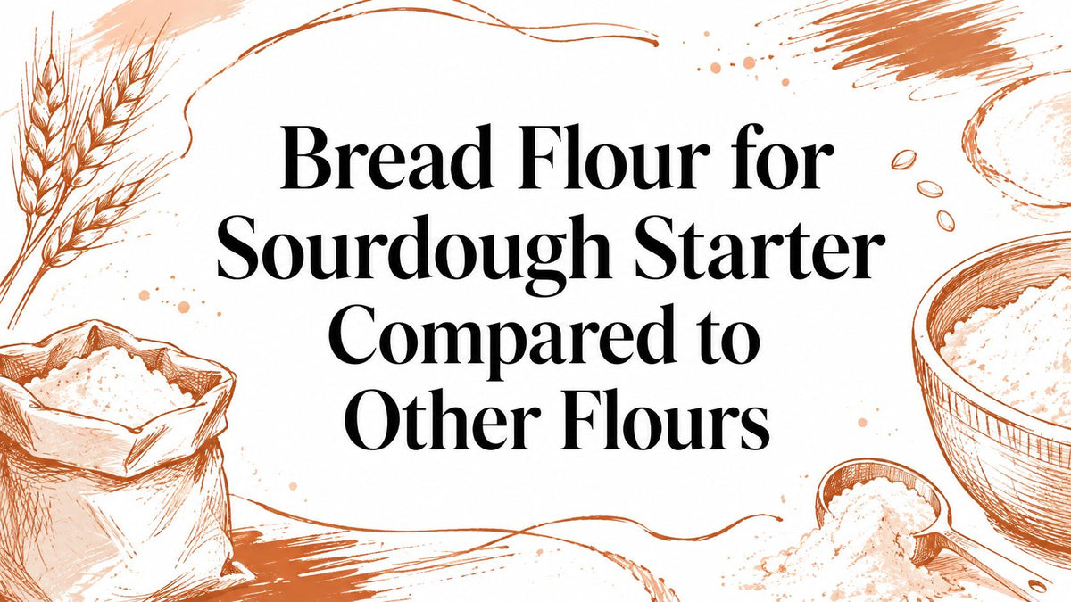 Bread Flour for Sourdough Starter Compared to Other Flours