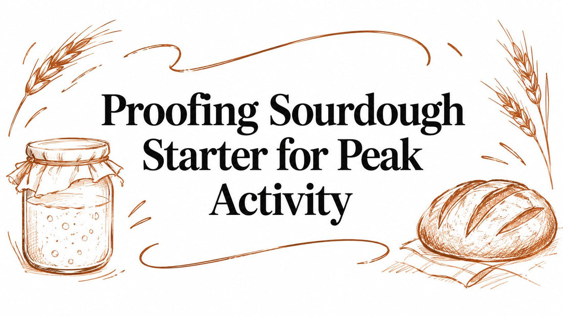 Proofing Sourdough Starter for Peak Activity