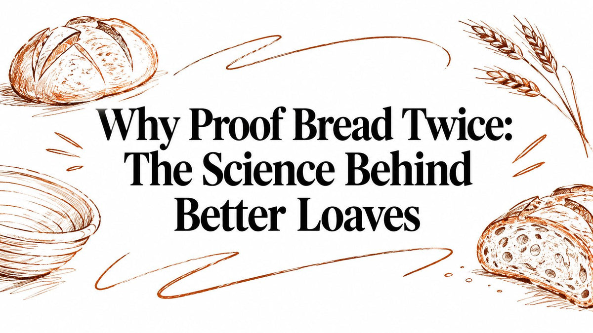 Why Proof Bread Twice: The Science Behind Better Loaves