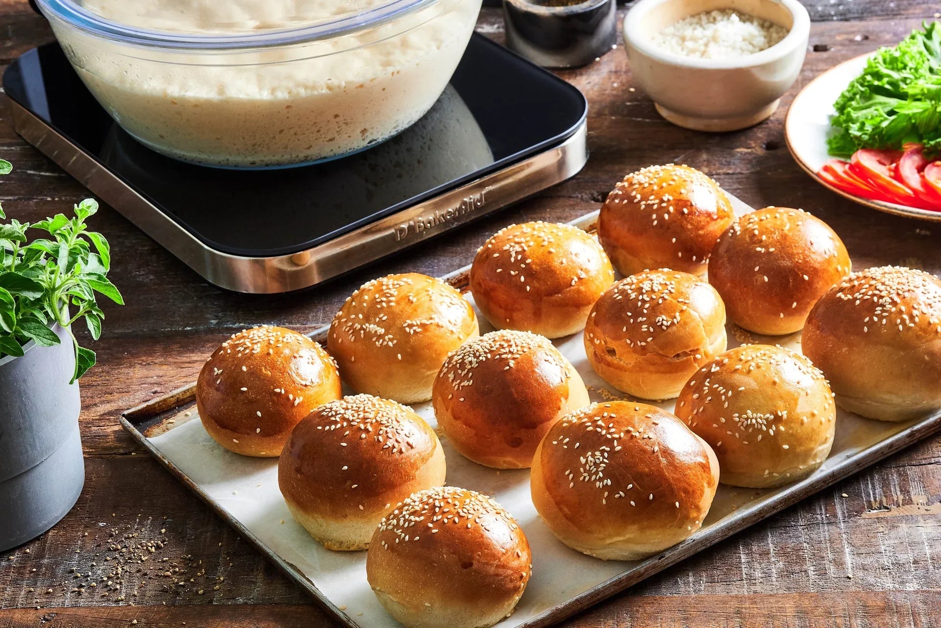 Golden sesame buns — the kind of results D'BakerAid delivers, batch after batch.