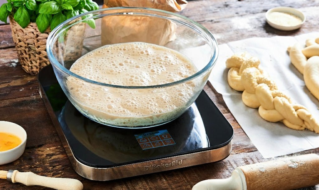 Active yeast fermenting in the D'BakerAid 2.5L D'Yeast bowl